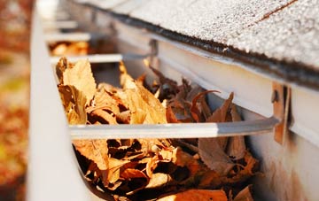 Farnborough Green gutter cleaning companies